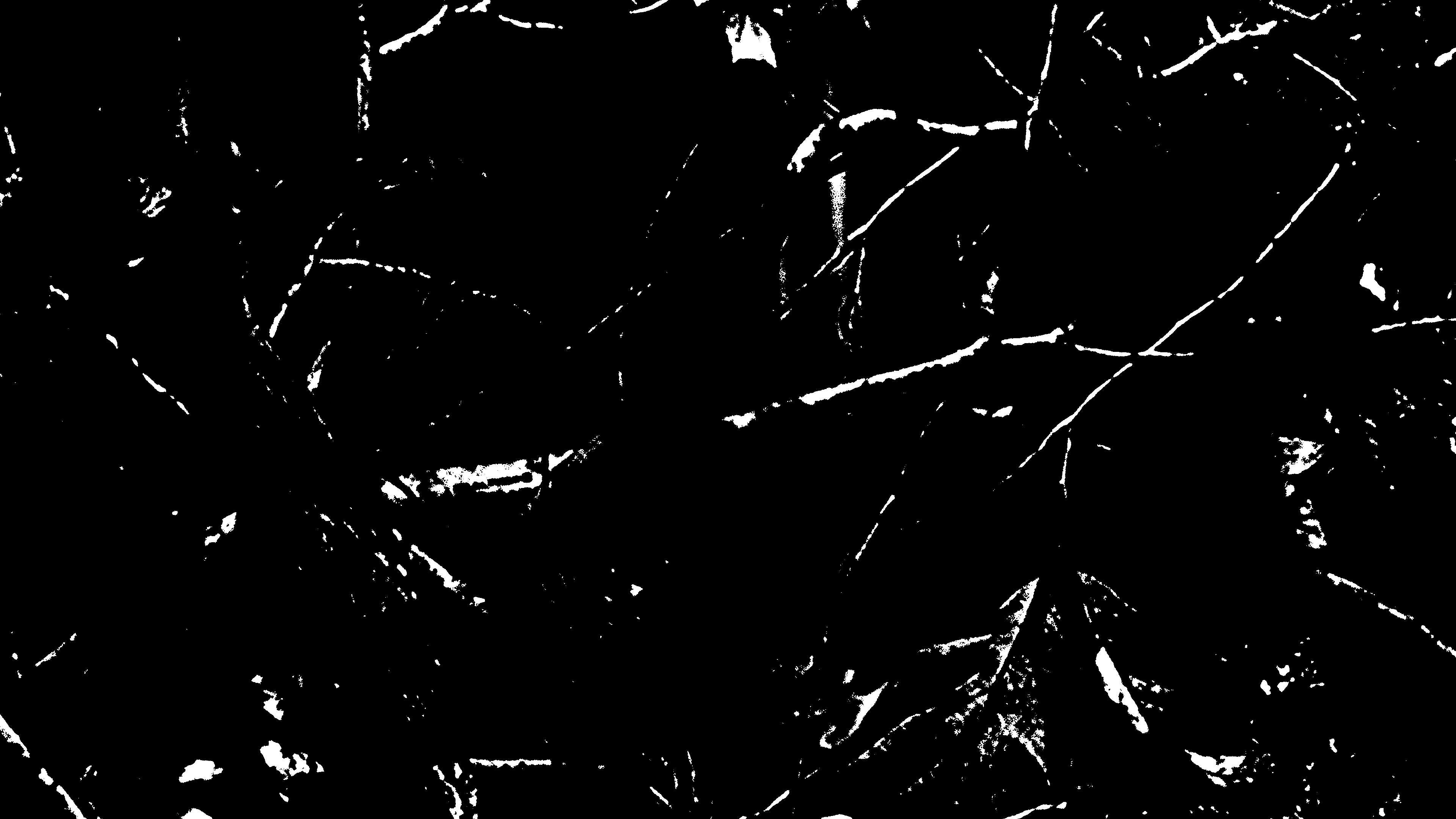 G*59 RECORD$: THE NEW REGIME